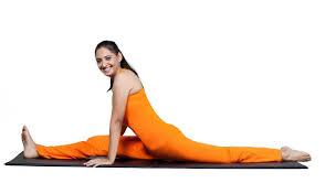 Yoga Retreat And Book Launch By Payal Gidwani Tiwari On