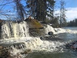 Waterfalls Near Eugene Oregon Outdoor Family
