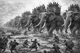 Capture for Captivity | ElephantVoices