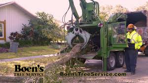 Our services include tree shaping, tree removal, tree trimming, stump removal, palm trimming, hedge trimming and more. Boen S Tree Service In Clearwater Fl Isa Certified Arborist