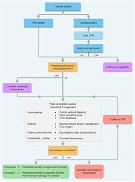 In these cases, it may not be possible to identify an immediate cause of arrest. Trauma Resuscitation Pareflectioned
