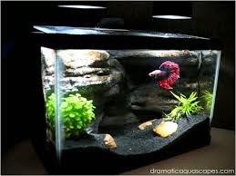 Dramatic Aquascapes Diy Aquarium Background Betta Paradise Betta Fish Aquarium Backgrounds Fish Tank Decorations