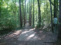 The highest quality dga disc golf baskets, discs and course equipment. Hole 14 Hornets Nest Park Charlotte Nc Disc Golf Courses Disc Golf Scene