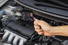 You will want to remove the car mats and vacuum them separately. How To Protect Your Car Wiring From Rodents Terminix