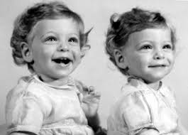 Climbing My Family Tree