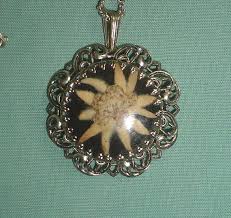 Pin On Edelweiss Jewelry