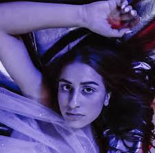 Collegian 11.3.2022 by The Hillsdale Collegian