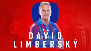 Before joining fc viktoria plzen, david limbersky impressed at ac sparta prague, tottenham. Otb5imk0l26 Tm