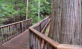 What are the best hikes in glacier? Trails Of The Cedars Nature Trail Glacier National Park Hiking Alltrips