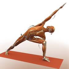 Check spelling or type a new query. The Yoga Nook Home Facebook