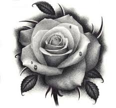 33 Ideas Tattoo Rose Design Draw Thighs For 2019 Realistic Rose Tattoo Rose Drawing Tattoo Rose Flower Tattoos