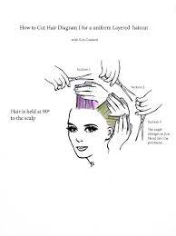 Pin On Straightened Relaxed And Blow Dried Hair