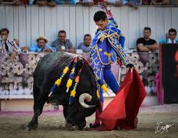Alejandro Talavante contratado para la FIS 2023 | Voy a Los Toros