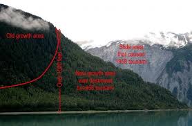 When the wave ran ashore, it snapped trees 1,700 feet. What Is A Tsunami