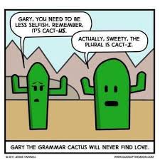 We did not find results for: Kind Of Ironic That Cactus Is Singular And Cacti Is Plural