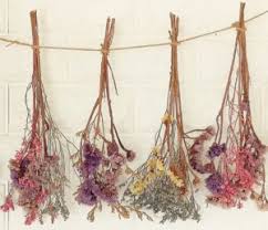 Maybe you would like to learn more about one of these? Pressing Vs Drying Flowers What S The Difference