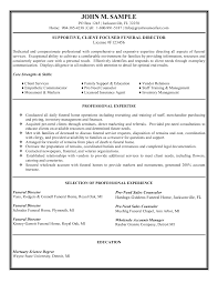 Example Resumes For Teachers Resume Tips Executive Resume Executive Resume Template
