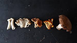 / check spelling or type a new query. How To Prep Mushrooms