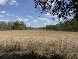 Looking for lake lanier, gainesville, ga land for sale? Lanier County Georgia Land For Sale Landflip
