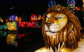 Der zoo halle in halle (saale) liegt im stadtteil giebichenstein auf dem 130 meter hohen reilsberg; Magische Lichterwelten Bergzoo Halle