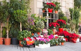 Maybe you would like to learn more about one of these? Merchandising And Display Tips Tricks For Your Garden Center Lawn Garden Retailer