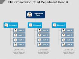 Flat Organization Chart Department Head And Managers