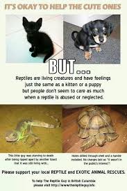 Pin By Shamizzy Inc On Interesting Sh T Animals Animal Abuse Save Animals
