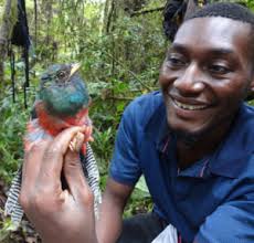 From Africa to Central America