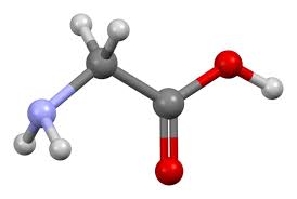 Image result for Glycine