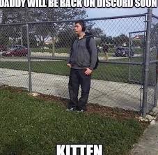 Daddy Will Be Back On Discord Soon Kitten Stupid Memes Funny Memes Haha Funny