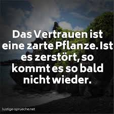 Das Vertrauen Ist Eine Zarte Pflanze Ist Es Zerstört So Kommt Es