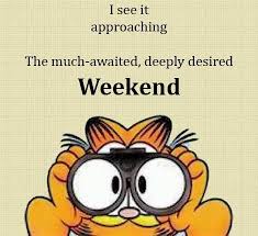 Garfield Garfield Quotes Garfield Cartoon Cartoon Quotes Whether you watched these funny characters on the tv or on the big screen, it doesn't matter. garfield quotes garfield cartoon