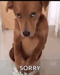 Hi guys, , I'm very...