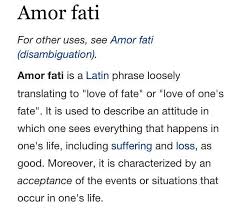 Love Your Fate Unusual Words Cool Words Words Quotes