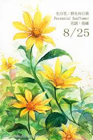 每日一花8 25 haru hello sunflower art botanical art floral watercolor