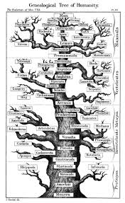 Genealogical Tree Of Humanity Human Evolution Tree Human Evolution Phylogenetic Tree