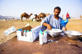 The need to inject external insulin can be reduced pasteurized or boiled milk can be drunk to receive camel milk benefits. The Benefits Of Camel Milk For Babies Camel Milk Camel Milk 100 Raw Natural Camel Milk