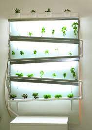 A Fully Functional Indoor Hydroponic Wall Growing Herbs And Lettuce Source Sassakala Hydroponics Hydroponic Growing Hydroponic Farming