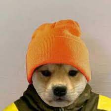 Credito A Quien Corresponda Dog Memes Dog Icon Dog Hat