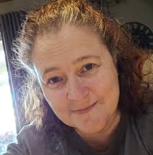 Xylocopa bee is a large non-aggressive bee