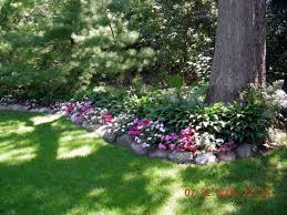 Impatiens By The White Pines Shade Garden Landscaping With Rocks Lawn And Garden