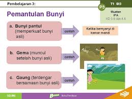 Perlengkapan yang digunakan untuk menari lagu lir ilir adalah. 22 Perlengkapan Yang Digunakan Menari Dengan Lagu Lir Ilir Adalah Information Literasi Studi