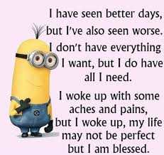 Manual Driving Made Easy Www Manualdrivingmadeeasy Com Servicing The South Eastern Suburbs Of Melbourne Austr Funny Minion Quotes Minions Quotes Minion Quotes