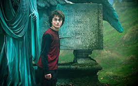 You can return the item for any reason in new and unused condition: Harry Potter And The Goblet Of Fire 2005 Original Telegraph Review