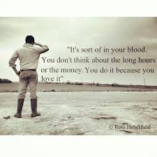 May you find great value in these inspirational passion quotes from my large datebase of inspiring quotes and sayings. Pin On Quotes