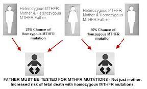 Mother S Mthfr And Father S Mthfr Status Both Matter Mthfr Net