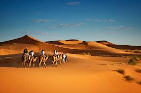Ride camels and hike to. Marrakech Desert Tours Price 3 Day Vs 2 Day Vs 1 Day Tourscanner