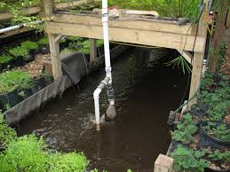 Jerry Here Aquaponics System Without Electricity