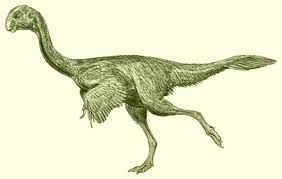 Walgettosuchus (meaning walgett crocodile) is a dubious or possibly invalid genus of extinct tetanuran theropod dinosaur that lived in australia during the late cretaceous (cenomanian). Dinosaur Facts Dinoguys Twitter