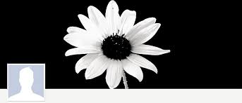 Black And White Flower Facebook Cover Photos Black And White Flower Top Timeline Cover Facebook Cover Photos Fb Cover Photos Cover Photos